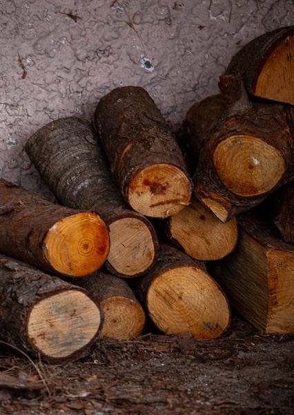 Retirada de restes de poda a Tarragona